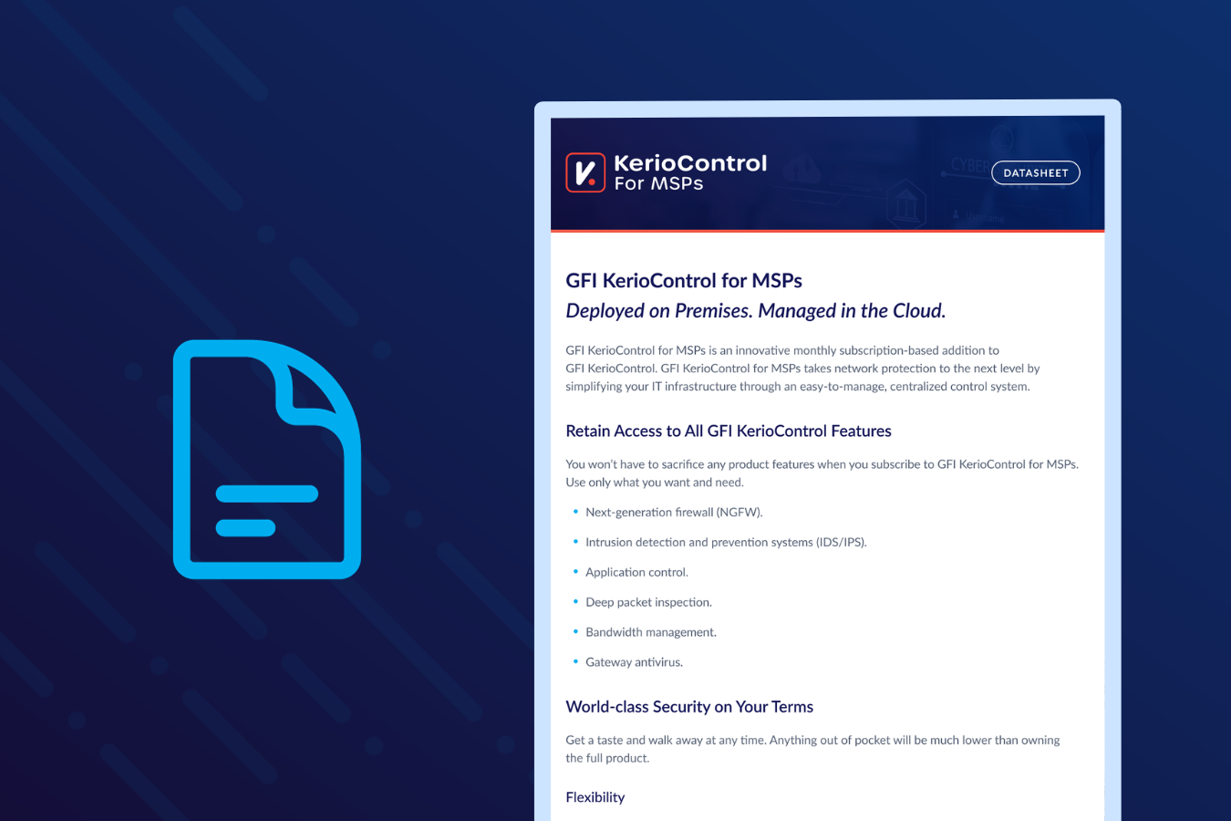 GFI KerioControl for MSPs - Datasheet