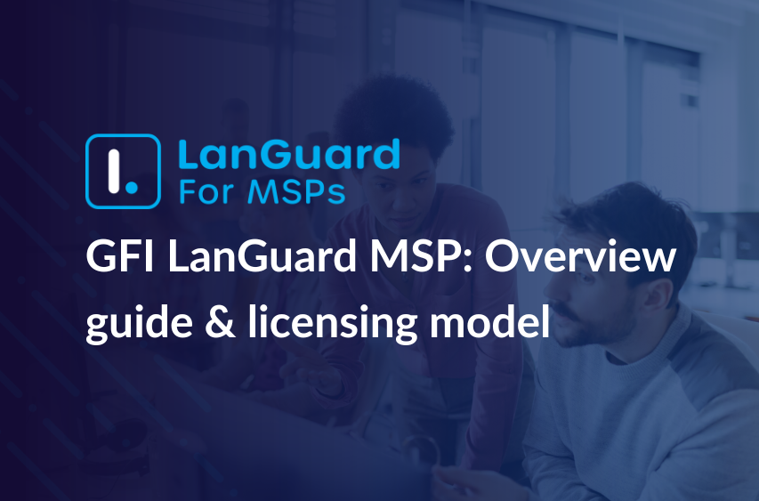 GFI LanGuard MSP: Overview Guide